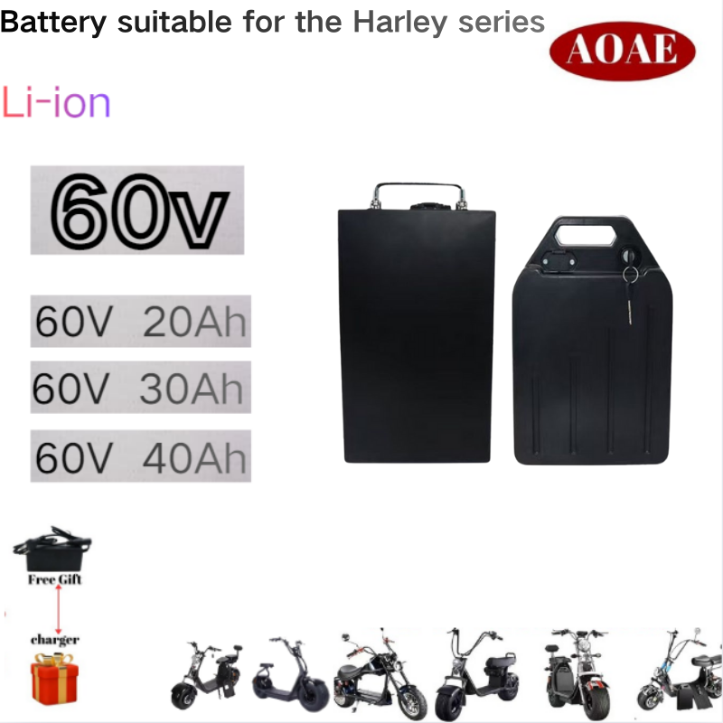 60V 30Ah Electric Scooter Battery - ハーレーバッテリー 60V 20Ah 30Ah 40Ah 電動バイク用